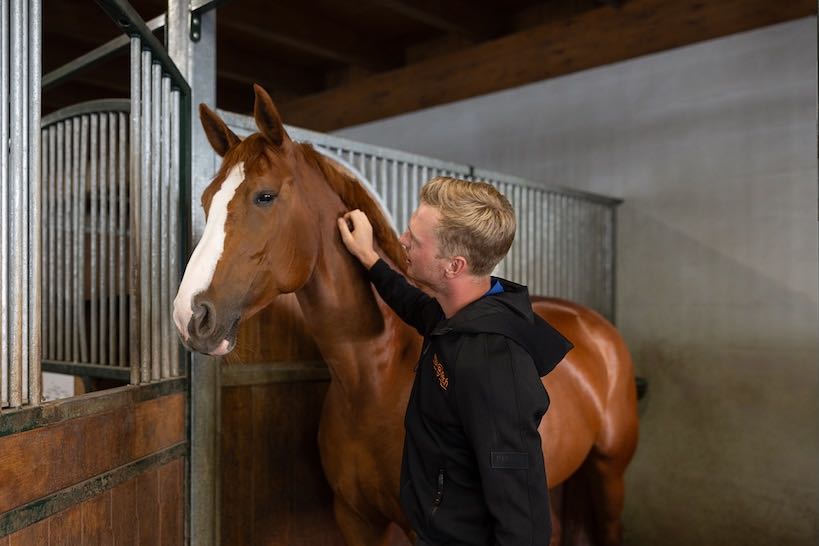 Vermarktung & Vermittlung